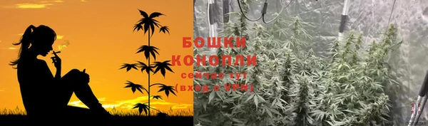 ГАЛЛЮЦИНОГЕННЫЕ ГРИБЫ Алзамай