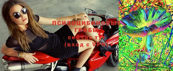 ГАЛЛЮЦИНОГЕННЫЕ ГРИБЫ Алзамай