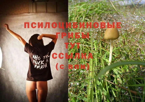 ГАЛЛЮЦИНОГЕННЫЕ ГРИБЫ Алзамай