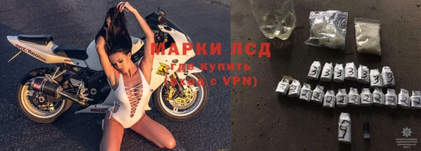 apvp Алексин