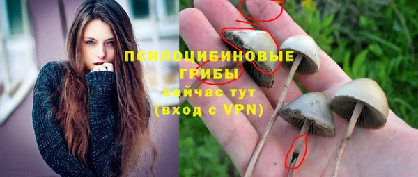 apvp Алексин