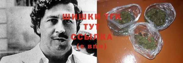 ГАЛЛЮЦИНОГЕННЫЕ ГРИБЫ Алзамай
